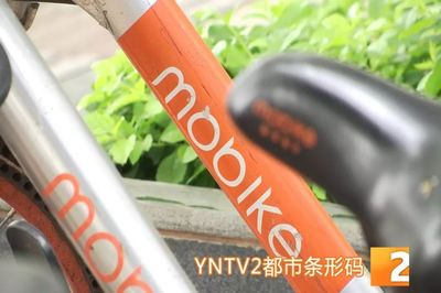 昆明共享單車管理升級 違停摩拜將罰款，ofo小黃車批量封存